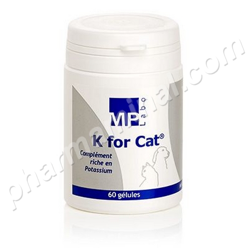 K FOR CAT   b/60      	gel